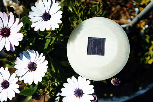 Solar lighting in the garden