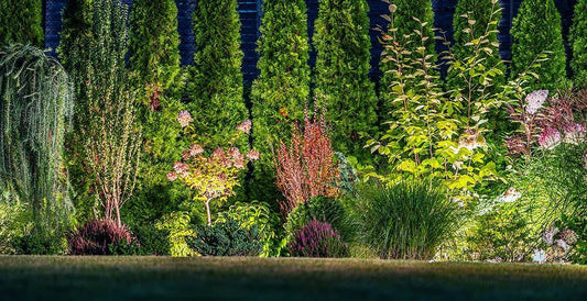 Landscape Lighting Tips And Tricks: Master Your Garden's Nightscape