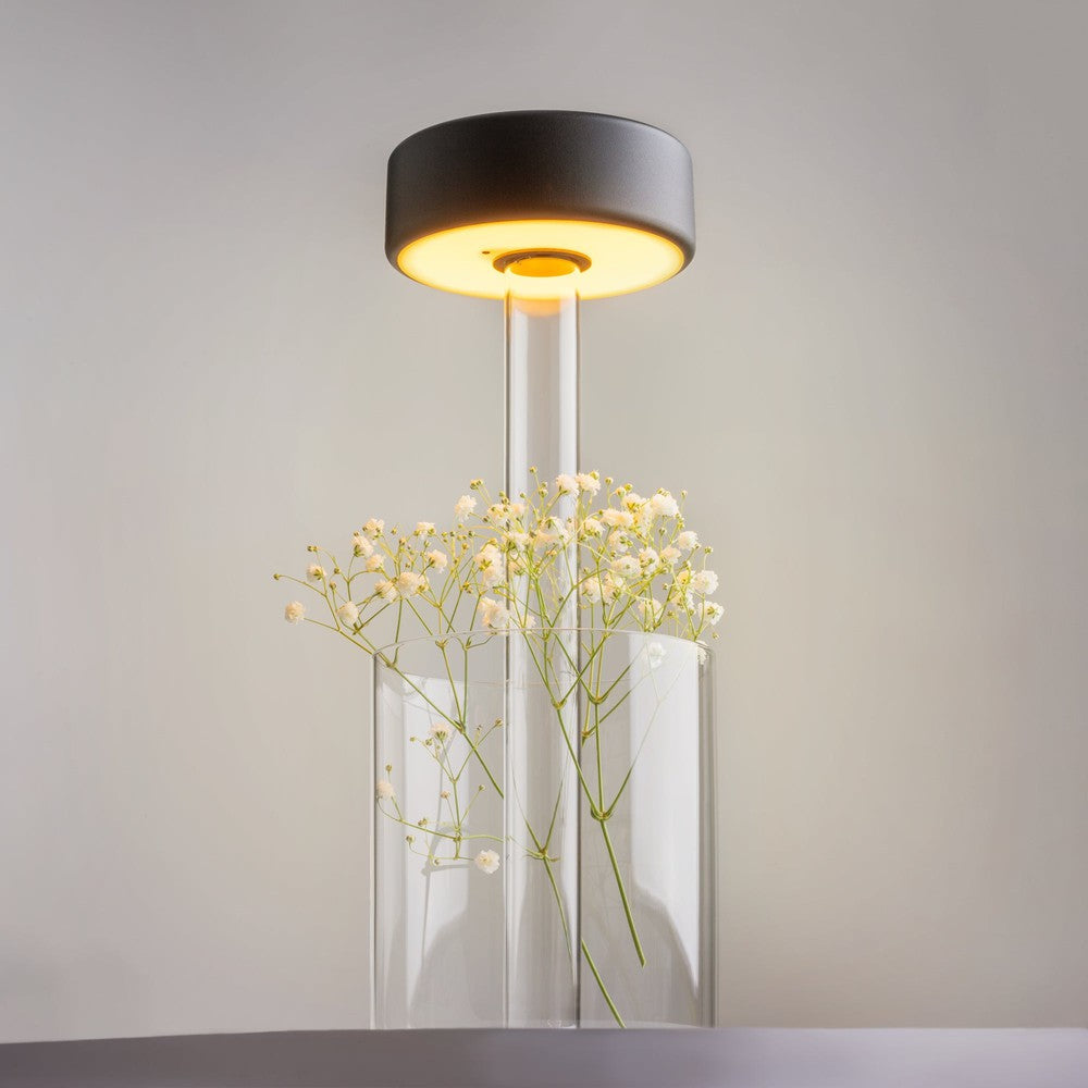 AI Collaboration Table Lamp In Black And Clear-Maytoni-South Charlotte Fine Lighting