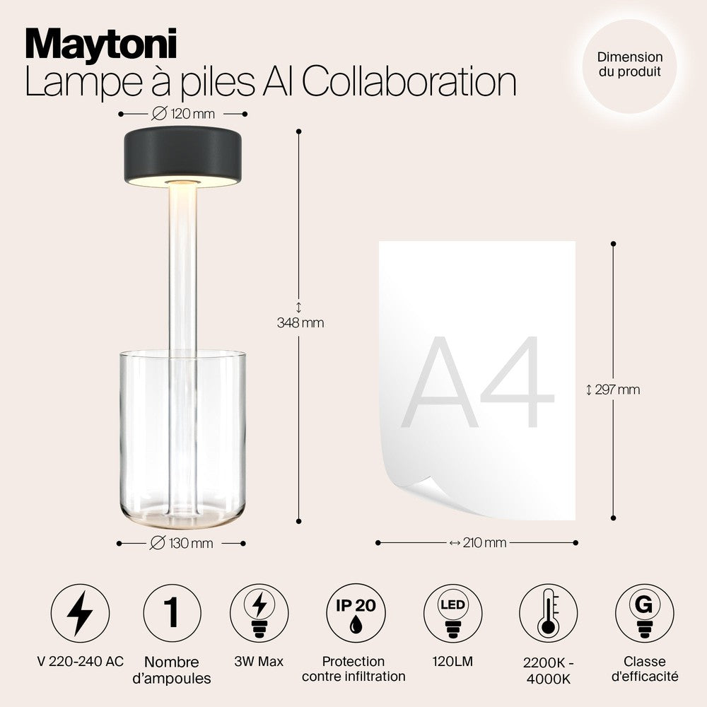 AI Collaboration Table Lamp In Black And Clear-Maytoni-South Charlotte Fine Lighting