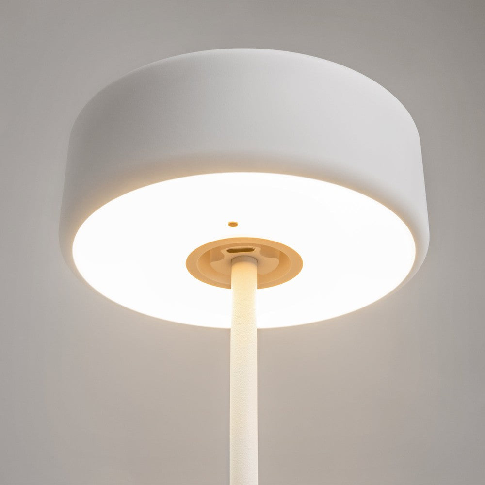 AI Collaboration Table Lamp In White-Maytoni-South Charlotte Fine Lighting