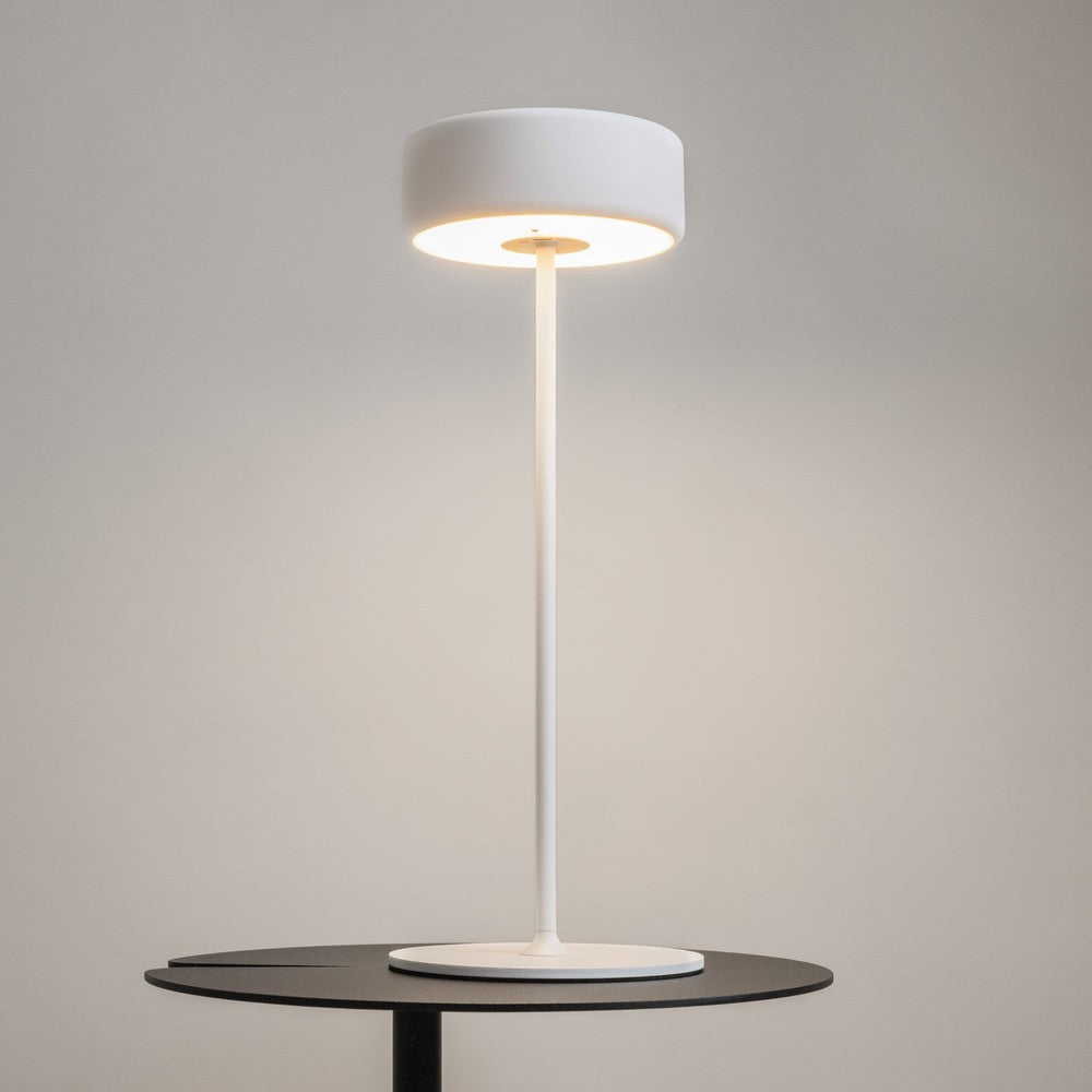 AI Collaboration Table Lamp In White-Maytoni-South Charlotte Fine Lighting