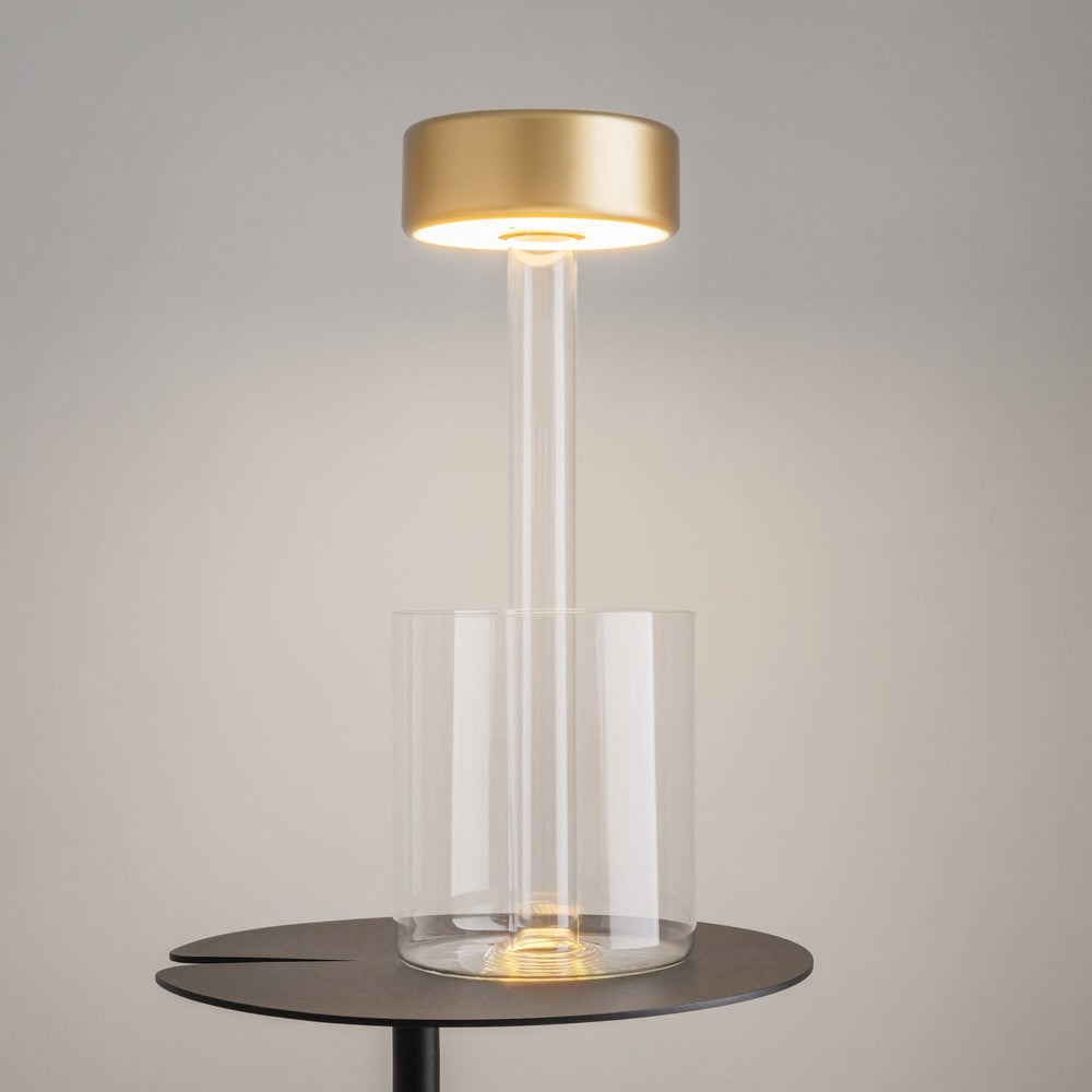AI Collaboration Table Lamp With Gold And Clear Styling-Maytoni-South Charlotte Fine Lighting