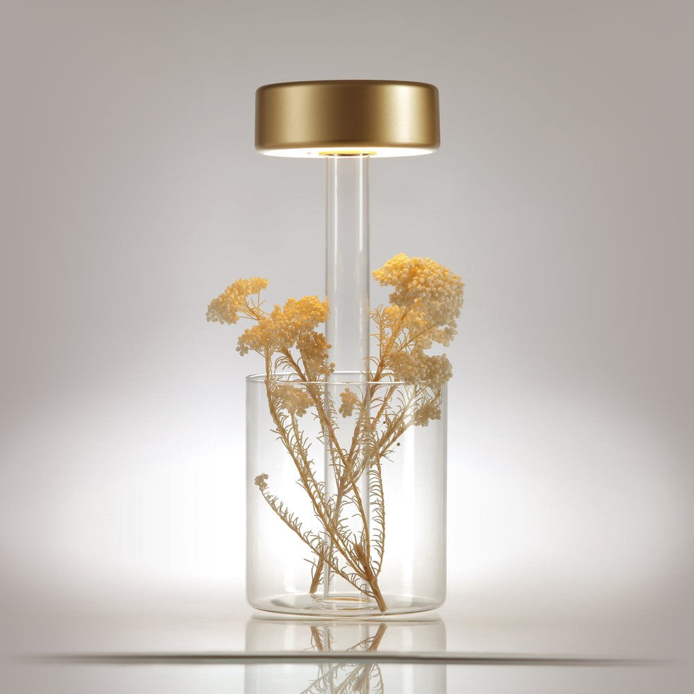AI Collaboration Table Lamp With Gold And Clear Styling-Maytoni-South Charlotte Fine Lighting