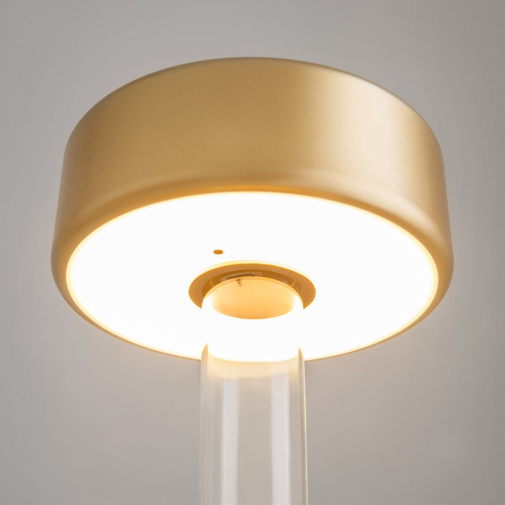 AI Collaboration Table Lamp With Gold And Clear Styling-Maytoni-South Charlotte Fine Lighting
