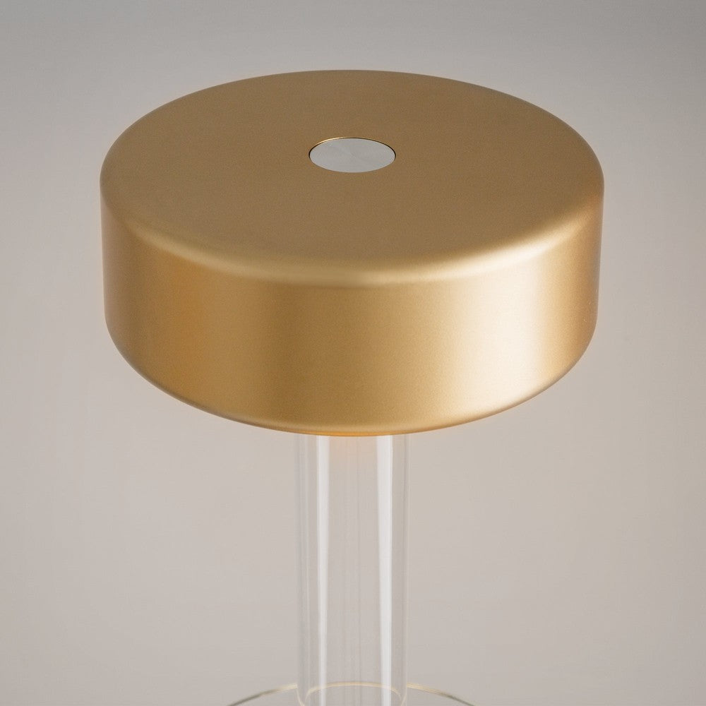 AI Collaboration Table Lamp With Gold And Clear Styling-Maytoni-South Charlotte Fine Lighting