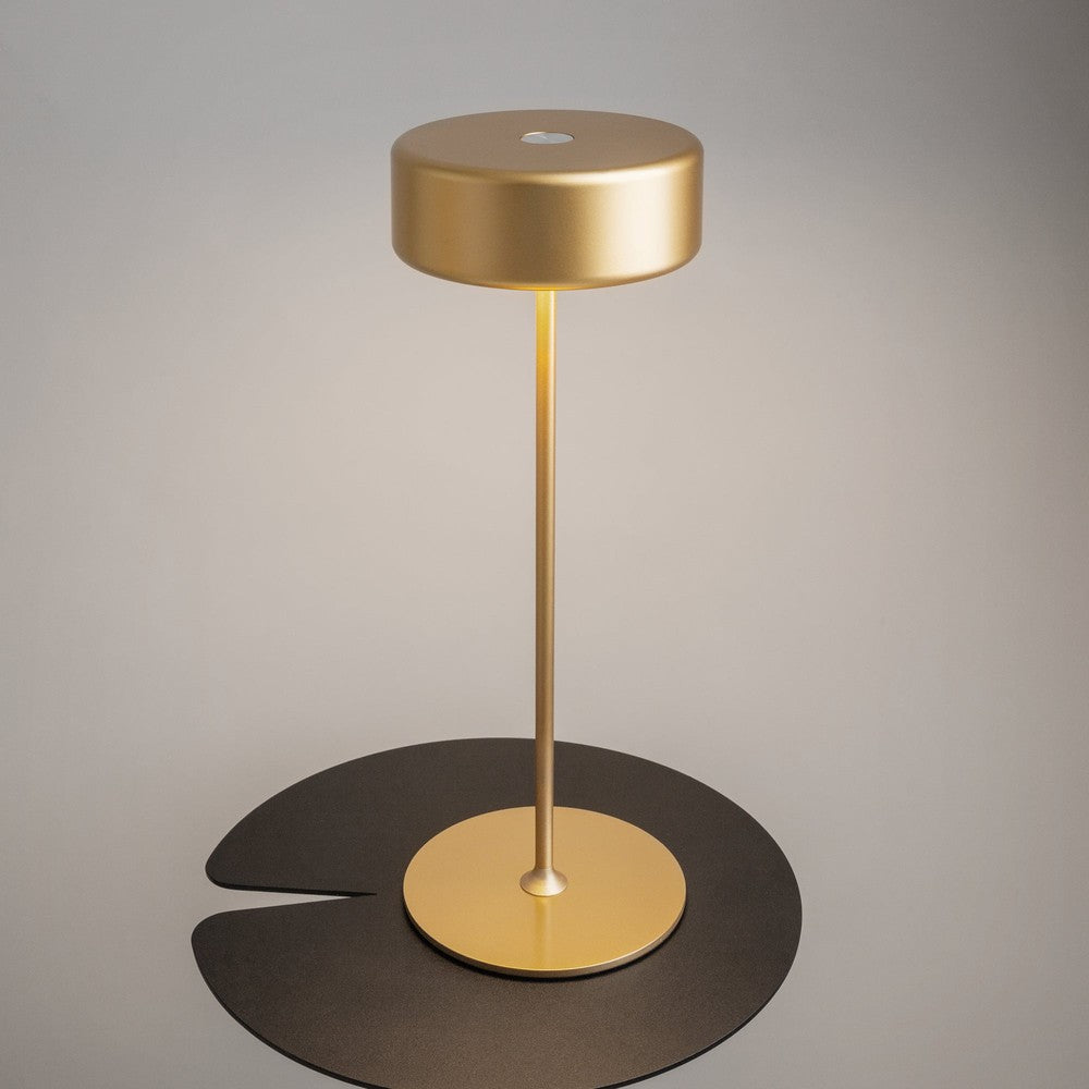 AI Collaboration Table Lamp With Gold Styling-Maytoni-South Charlotte Fine Lighting