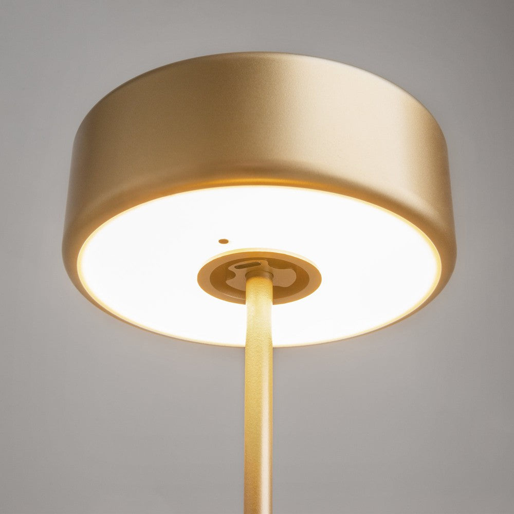 AI Collaboration Table Lamp With Gold Styling-Maytoni-South Charlotte Fine Lighting