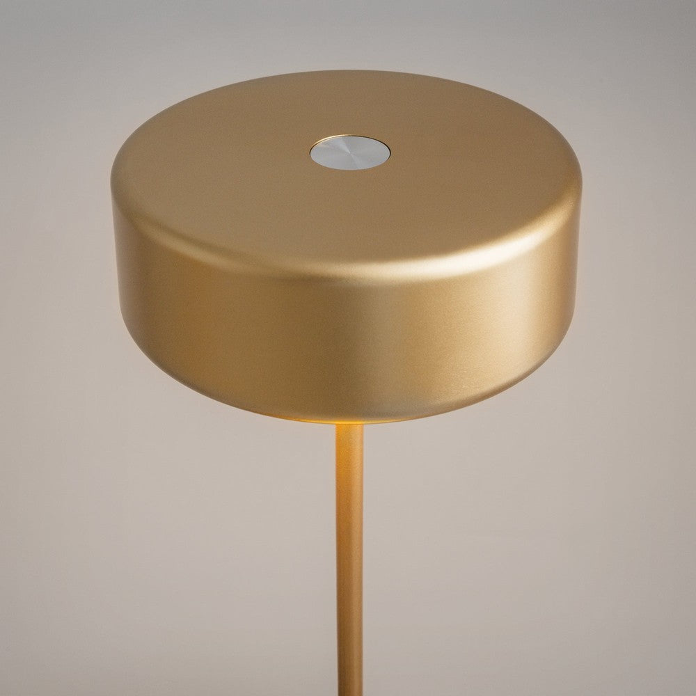 AI Collaboration Table Lamp With Gold Styling-Maytoni-South Charlotte Fine Lighting