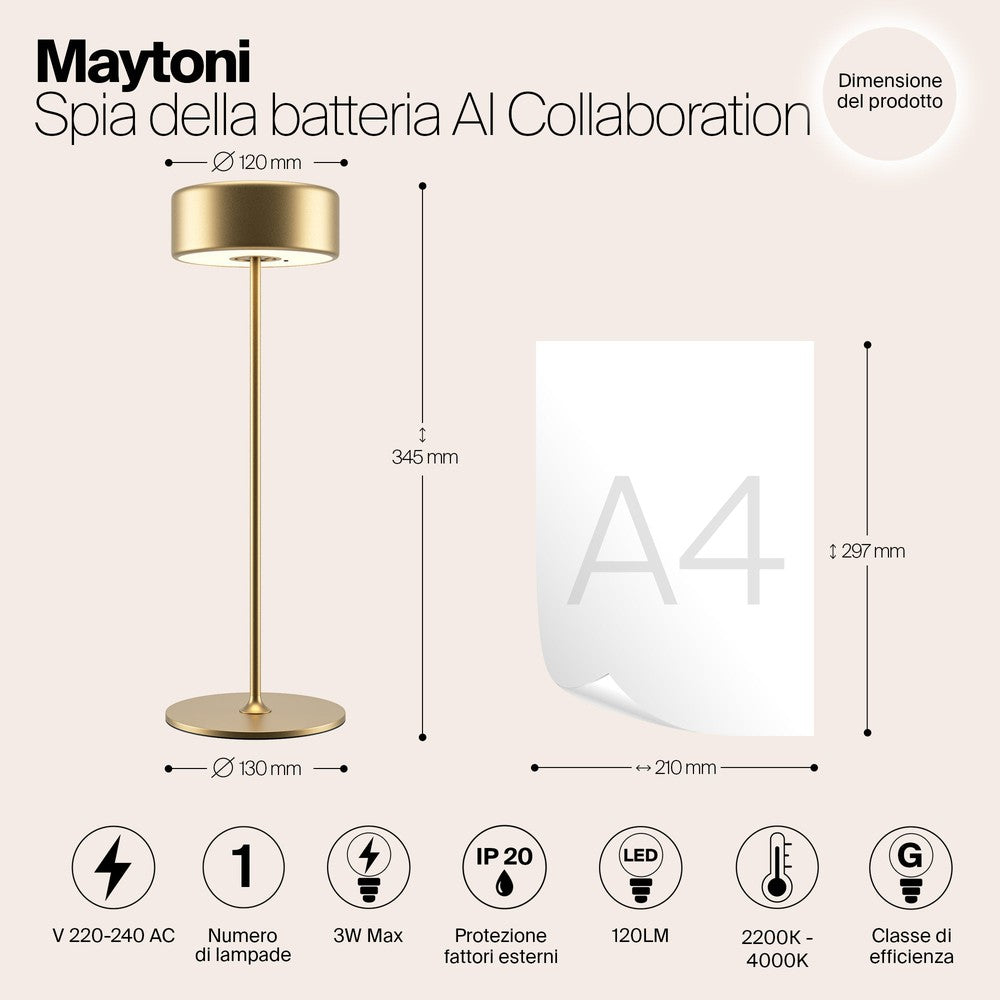 AI Collaboration Table Lamp With Gold Styling-Maytoni-South Charlotte Fine Lighting
