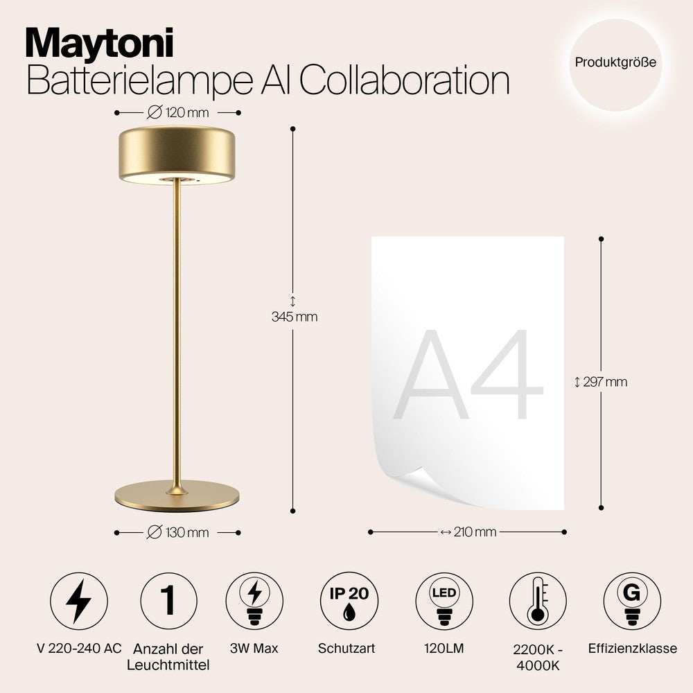 AI Collaboration Table Lamp With Gold Styling-Maytoni-South Charlotte Fine Lighting