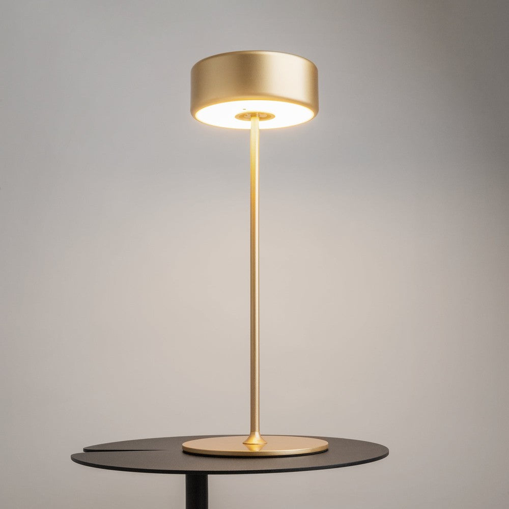 AI Collaboration Table Lamp With Gold Styling-Maytoni-South Charlotte Fine Lighting