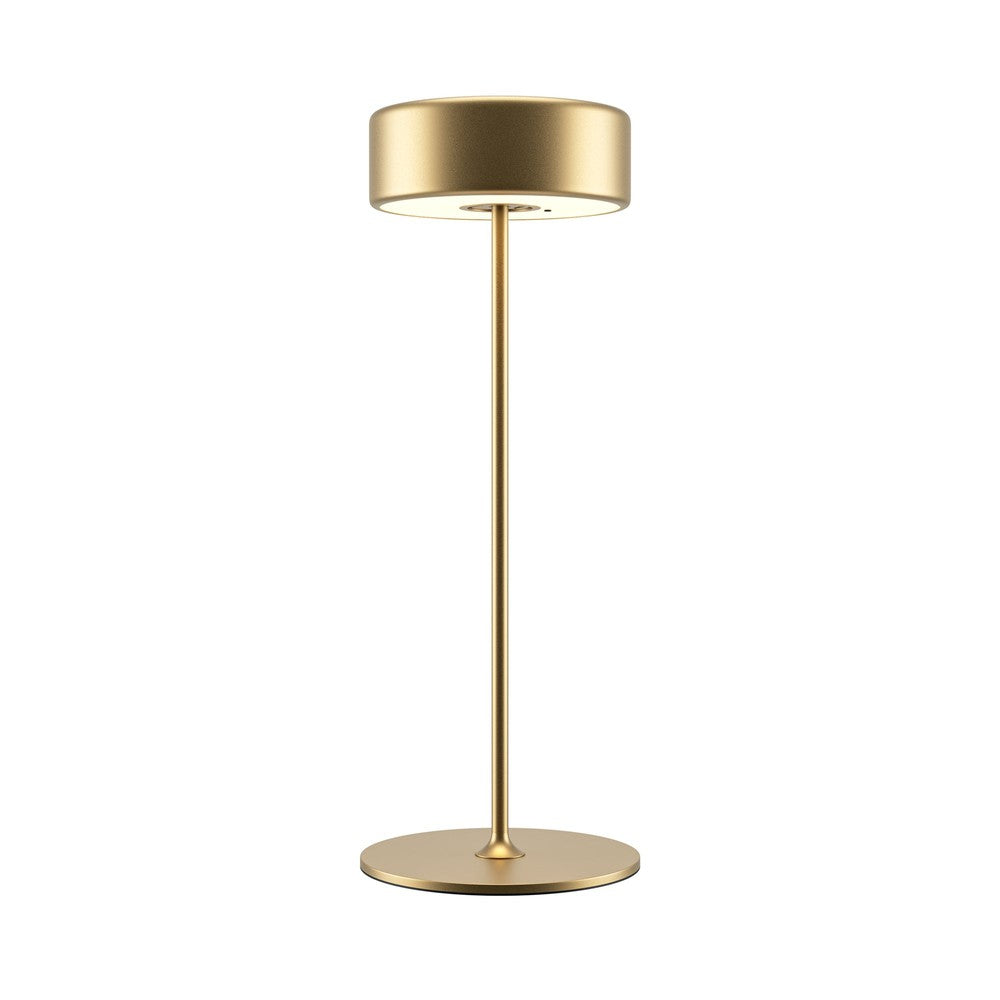 AI Collaboration Table Lamp With Gold Styling-Maytoni-South Charlotte Fine Lighting