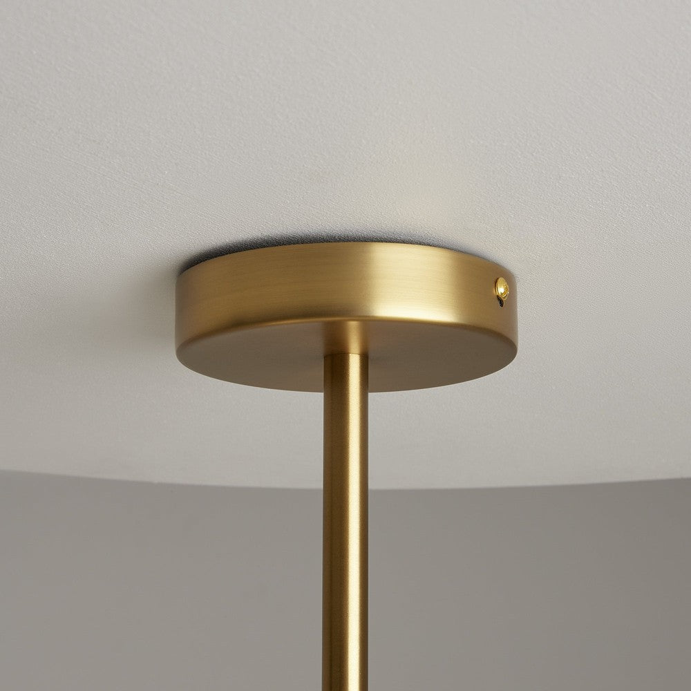Tropic Chandelier With Brass Styling-Maytoni-South Charlotte Fine Lighting