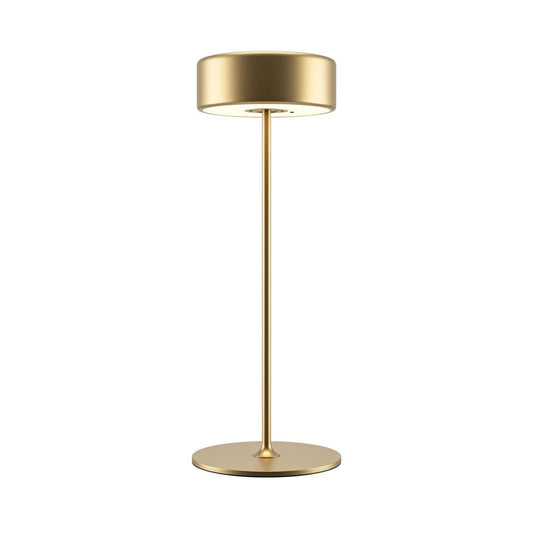 AI Collaboration Table Lamp With Gold Styling-Maytoni-South Charlotte Fine Lighting