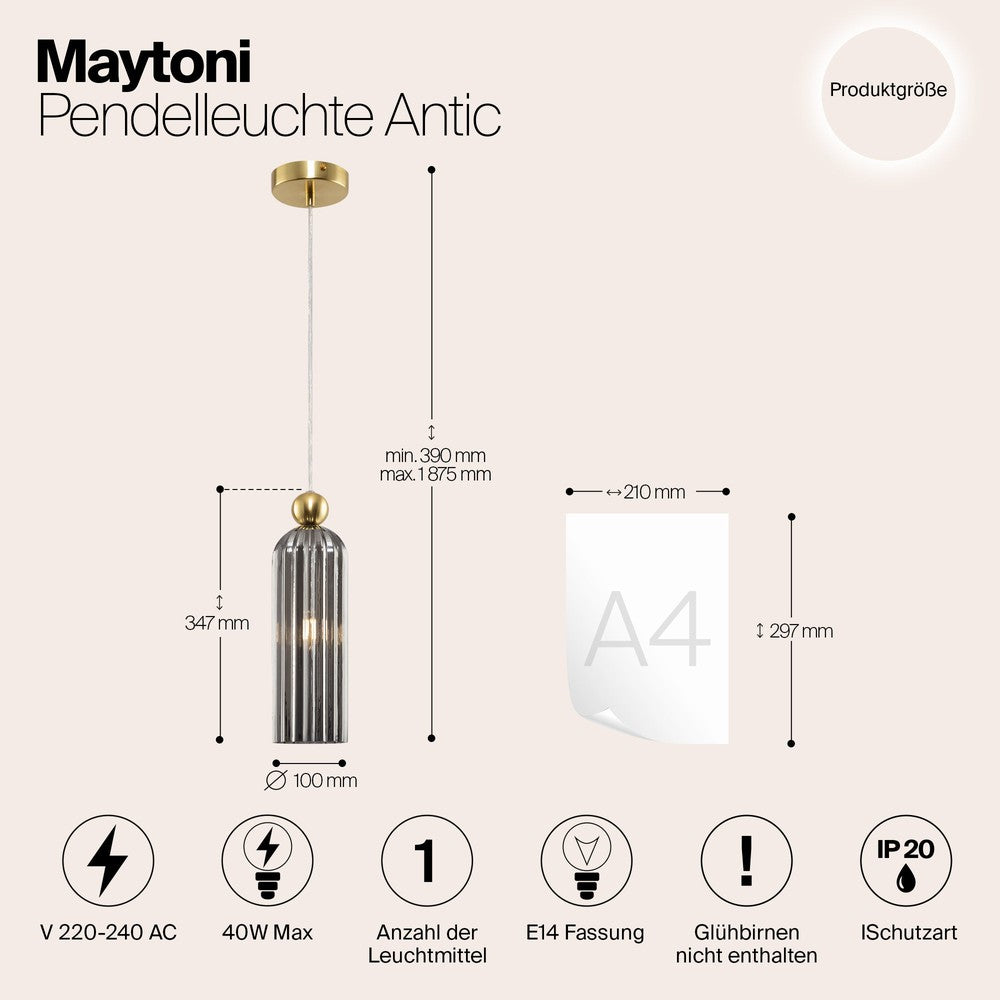 Antic Pendant Lamp With Gold Styling - Ribbed Dark-Maytoni-South Charlotte Fine Lighting