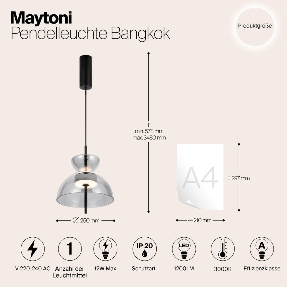 Bangkok Pendant Lamp In Black - Flared-Maytoni-South Charlotte Fine Lighting