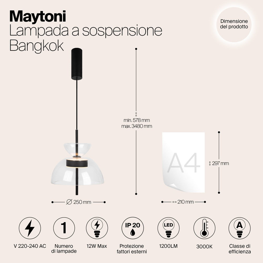 Bangkok Pendant Lamp In Black - Transparent Shade-Maytoni-South Charlotte Fine Lighting