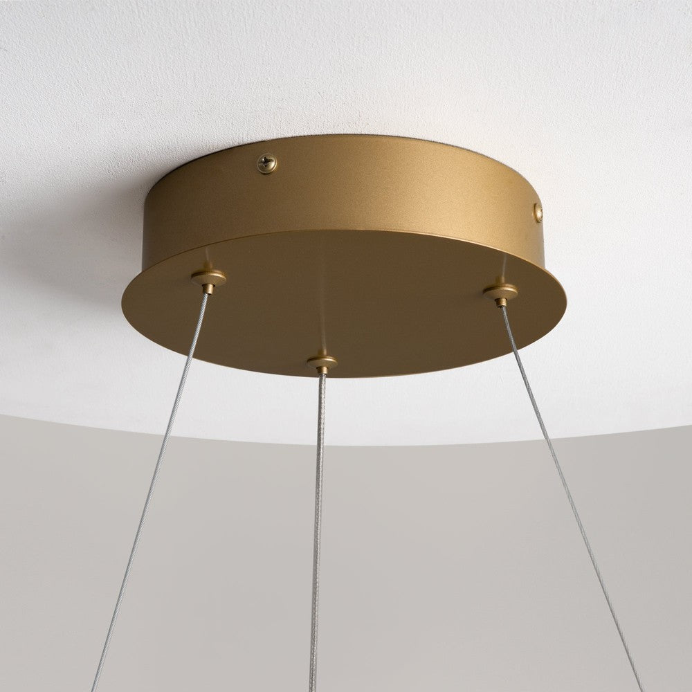 Curve Pendant Lamp With Brass Styling-Maytoni-South Charlotte Fine Lighting