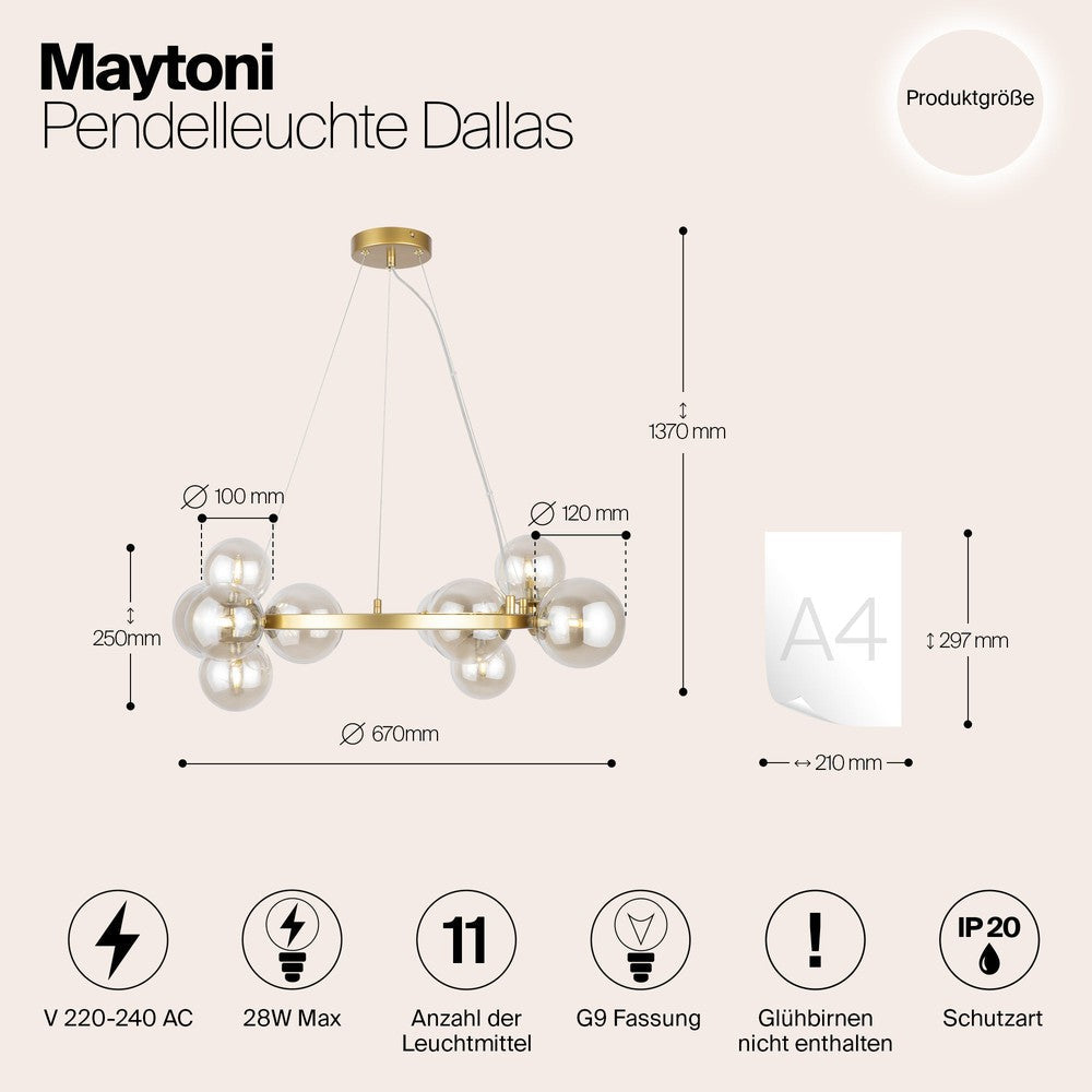 Dallas Ring Chandelier With Gold Styling-Maytoni-South Charlotte Fine Lighting