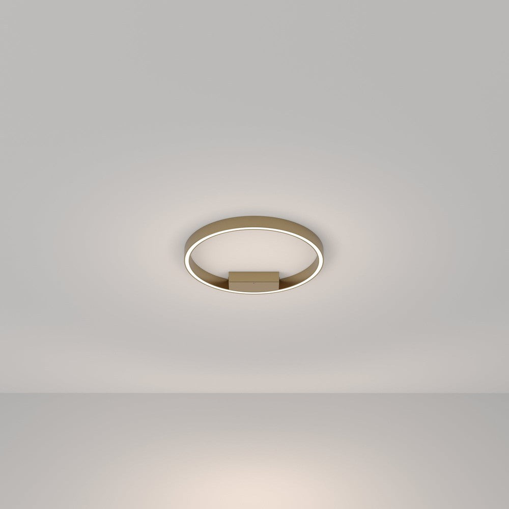 Rim Ceiling Lamp With Brass Styling - Cool Tones-Maytoni-South Charlotte Fine Lighting