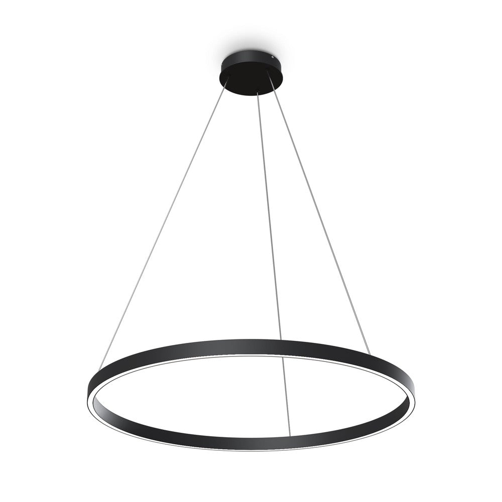 Rim Pendant Lamp C In Black-Maytoni-South Charlotte Fine Lighting