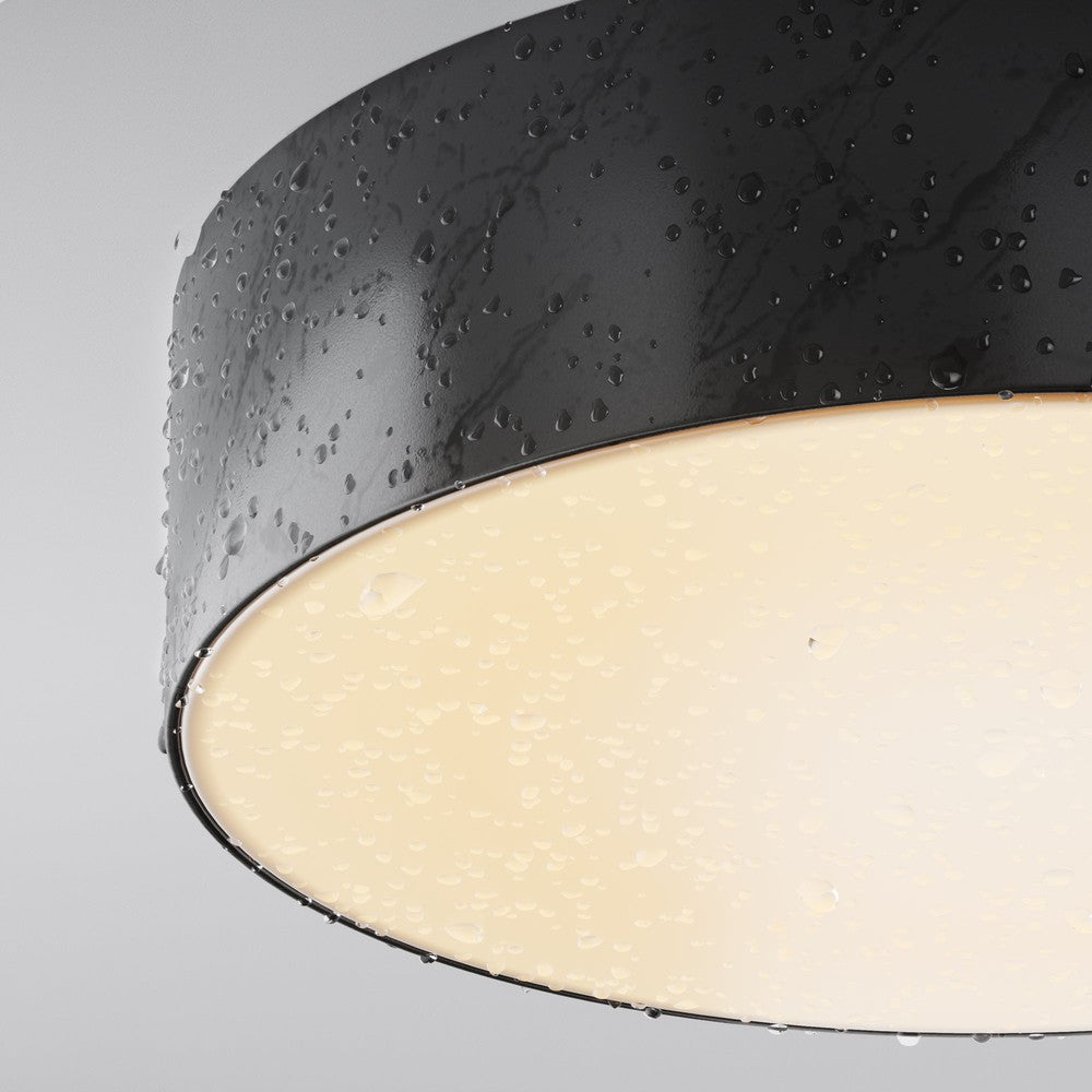 Zon IP Large Ceiling Lamp Black-Maytoni-South Charlotte Fine Lighting